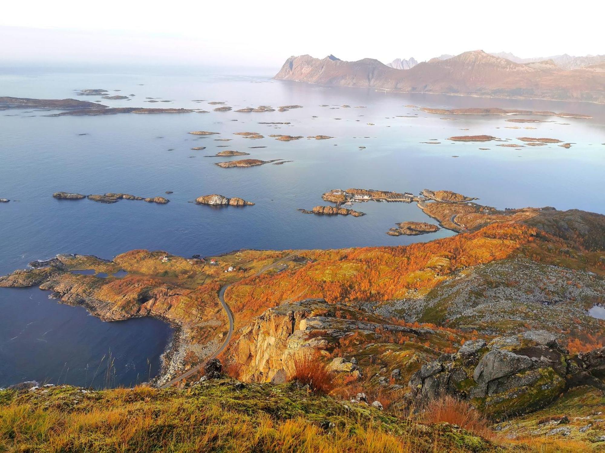 Ferrytale, Cozy, Spacious House On Senja Gryllefjord Экстерьер фото