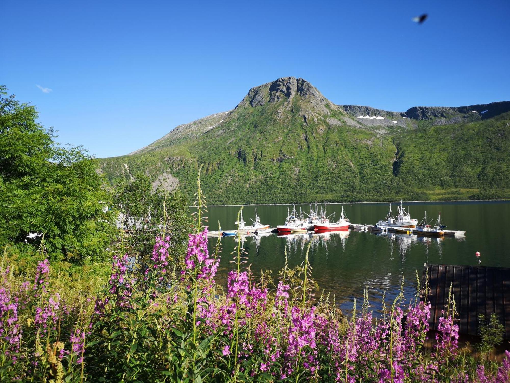 Ferrytale, Cozy, Spacious House On Senja Gryllefjord Экстерьер фото
