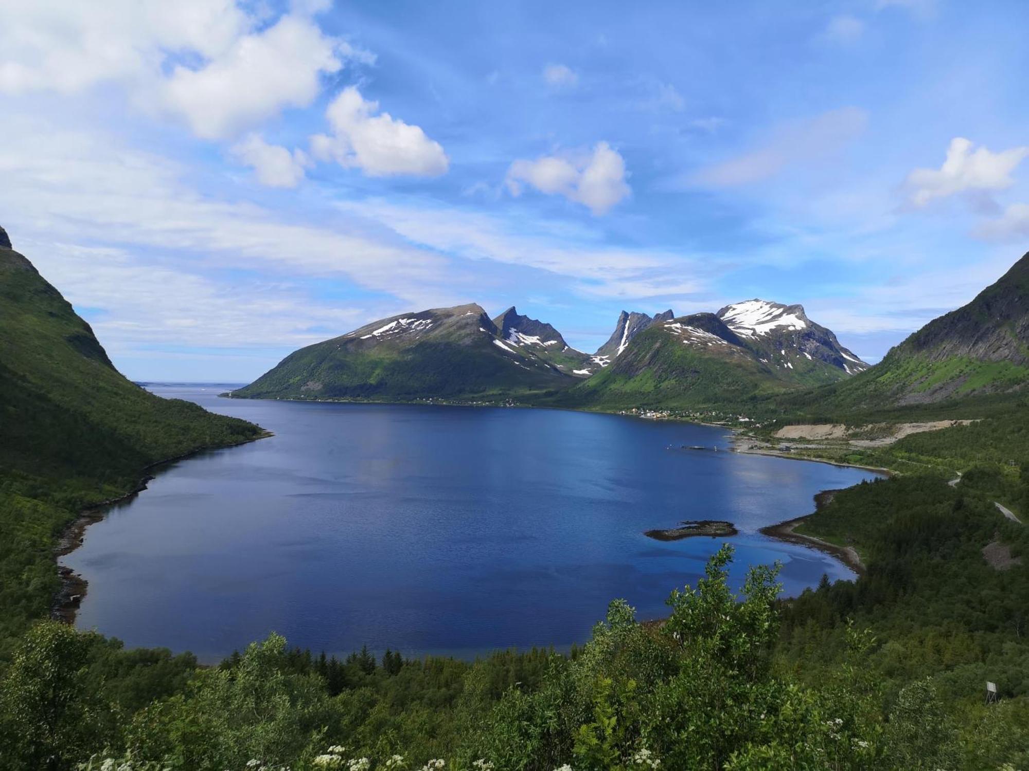 Ferrytale, Cozy, Spacious House On Senja Gryllefjord Экстерьер фото