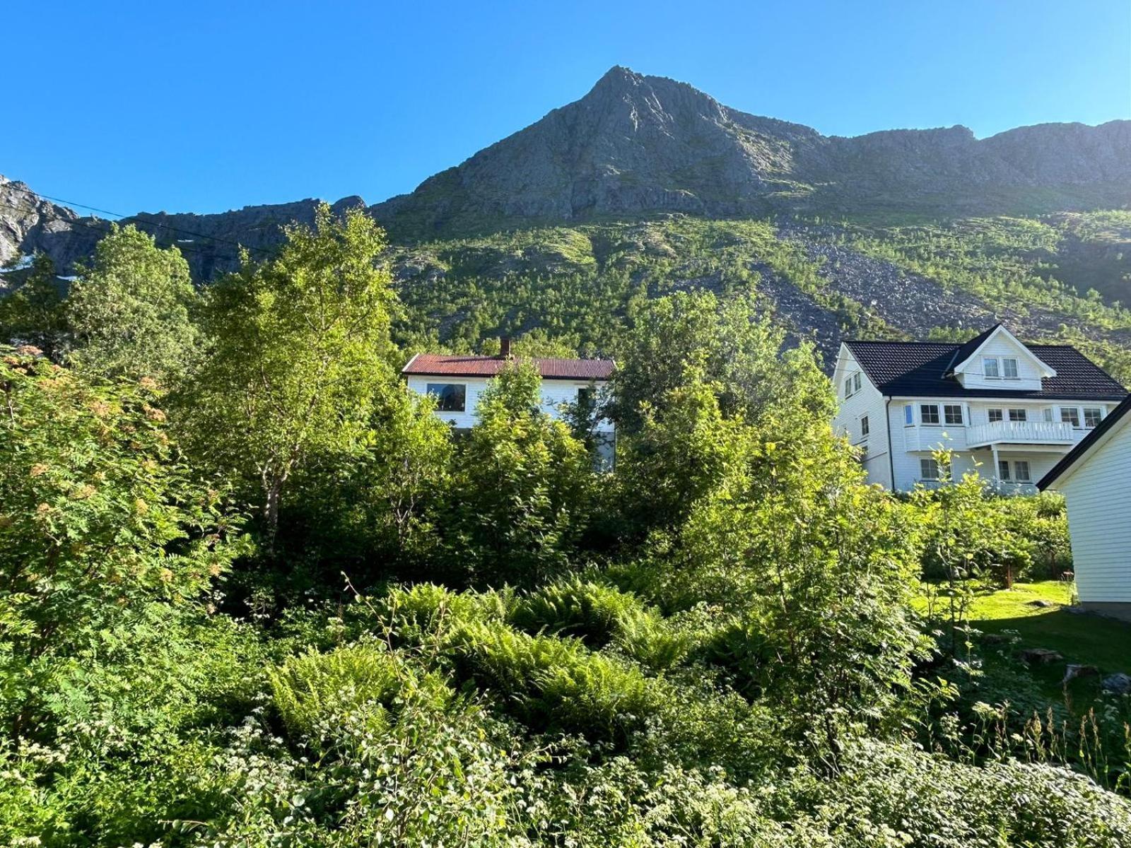 Ferrytale, Cozy, Spacious House On Senja Gryllefjord Экстерьер фото